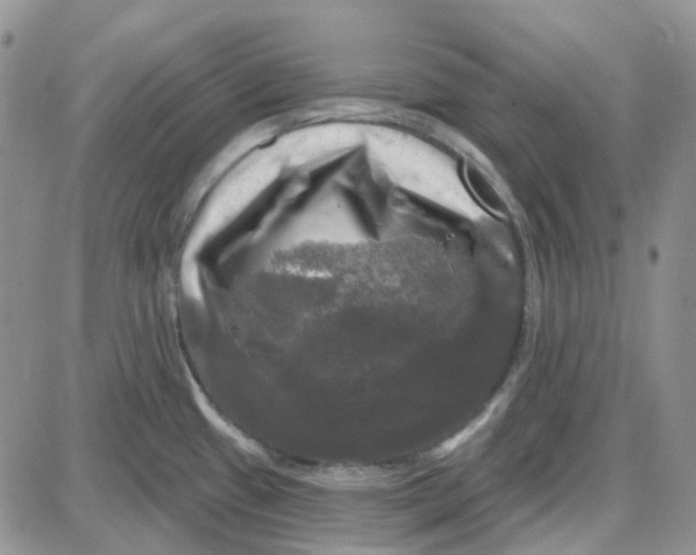 X0000087631433200705241204