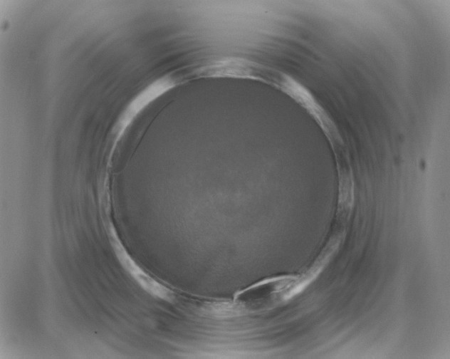 X0000087631434200705241204