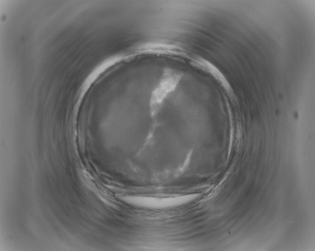 X0000087631435200705241204