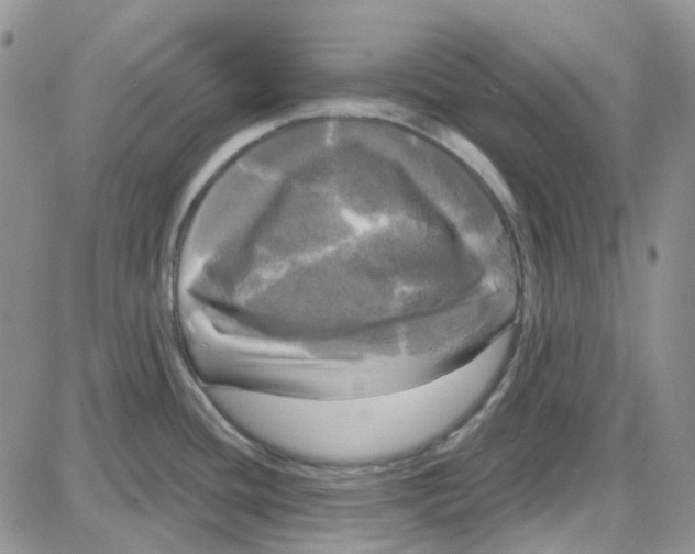 X0000087631436200705241204