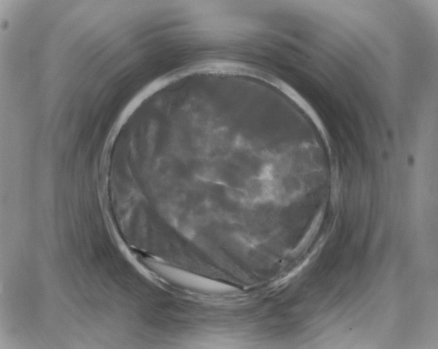 X0000087631437200705241204