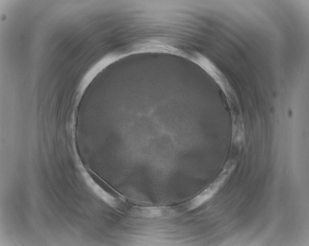 X0000087631438200705241204