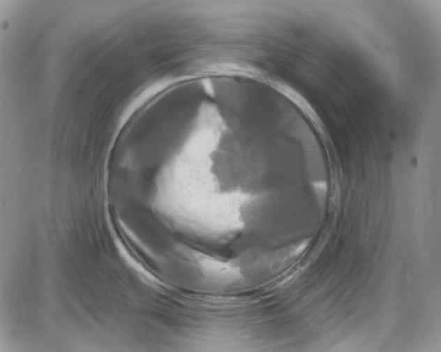 X0000087631439200705241204