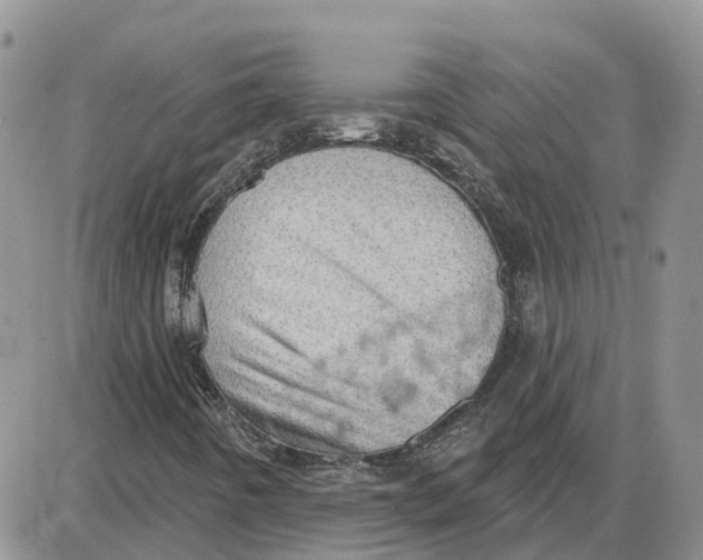 X0000087631442200705241203