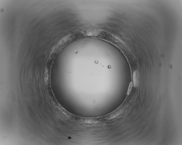 X0000087631443200705241203