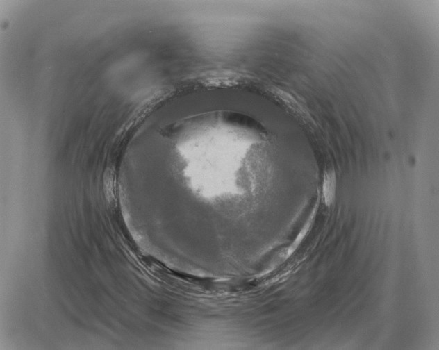 X0000087631444200705241203