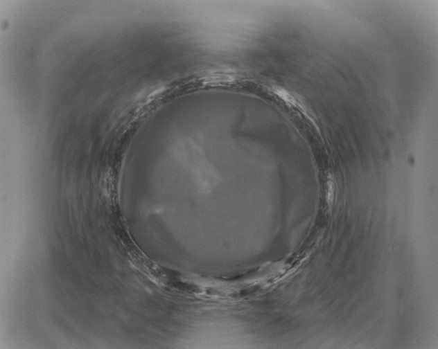 X0000087631445200705241203