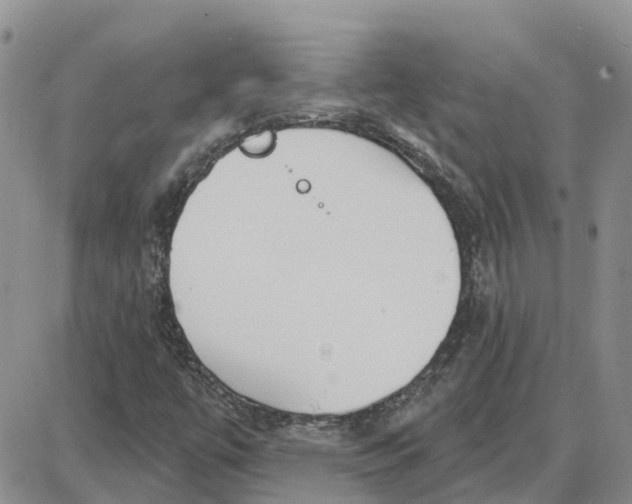 X0000087631447200705241203