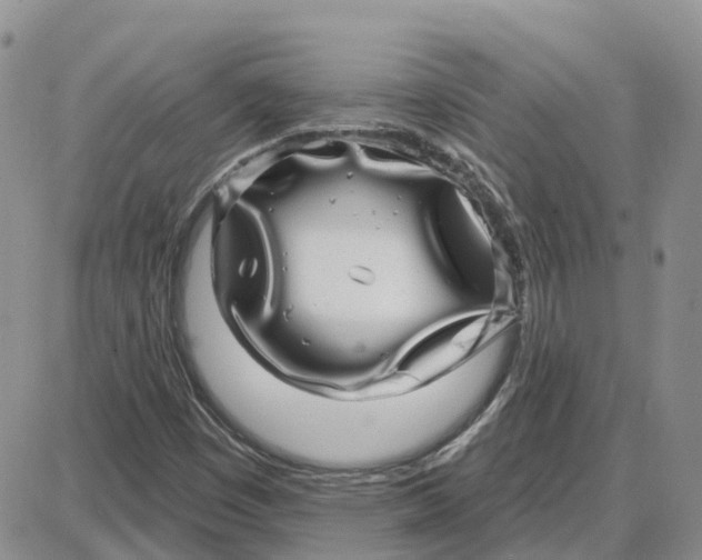 X0000087631449200705241203