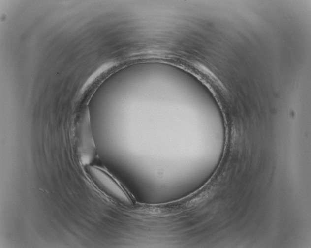 X0000087631450200705241203