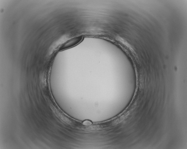 X0000087631451200705241203