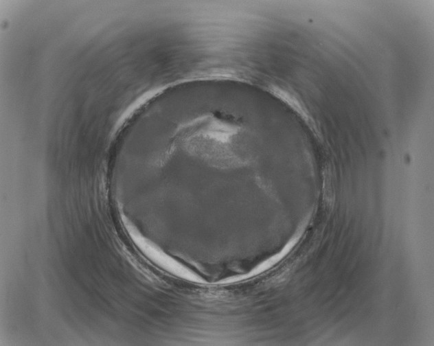 X0000087631452200705241203