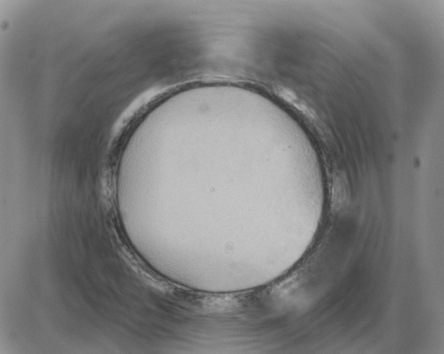 X0000087631454200705241203