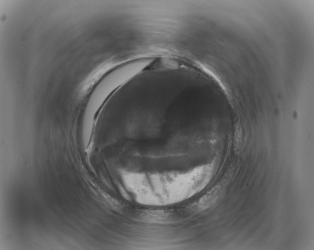 X0000087631455200705241203