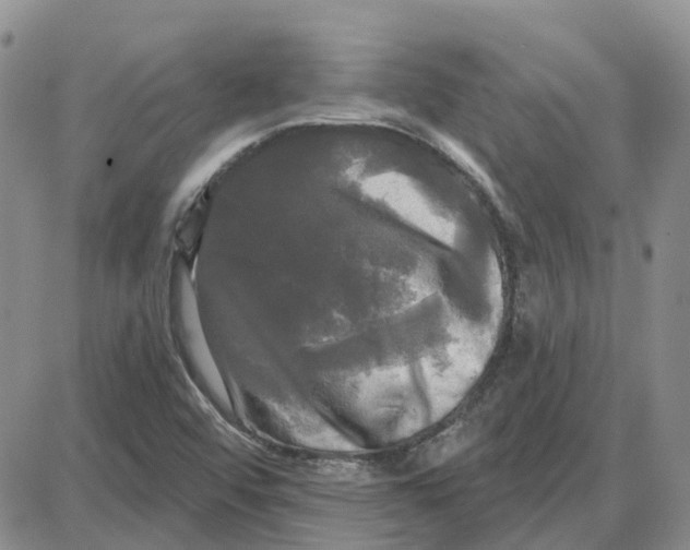 X0000087631456200705241203