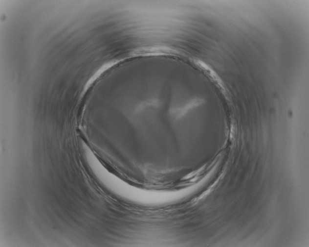 X0000087631457200705241203