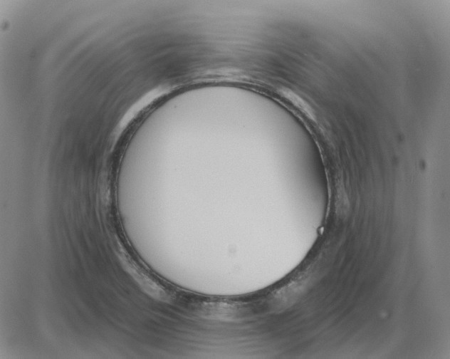 X0000087631458200705241203