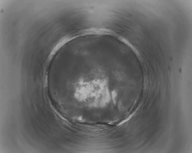 X0000087631459200705241203