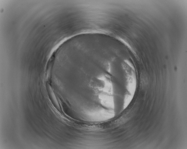 X0000087631460200705241203