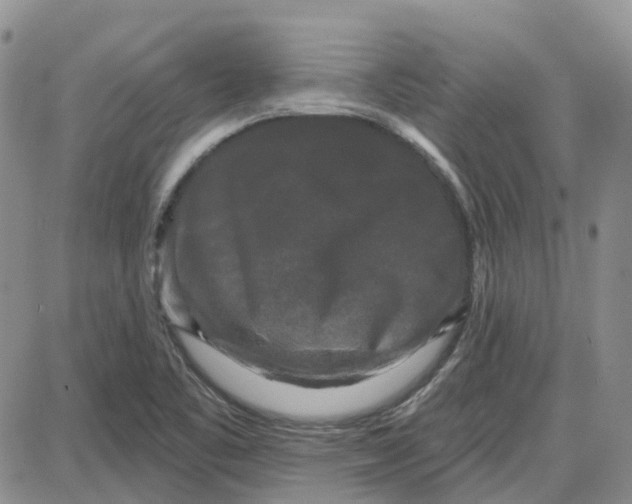 X0000087631461200705241203