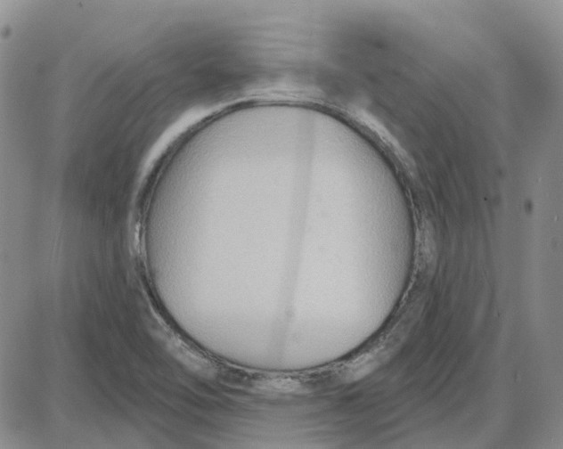 X0000087631462200705241203