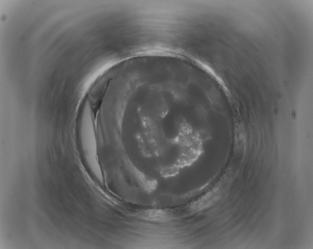 X0000087631463200705241203