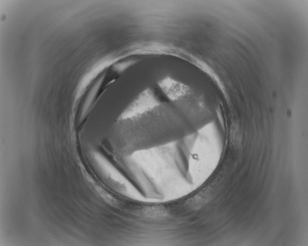 X0000087631464200705241203