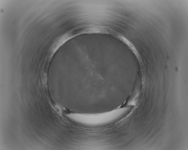 X0000087631465200705241203