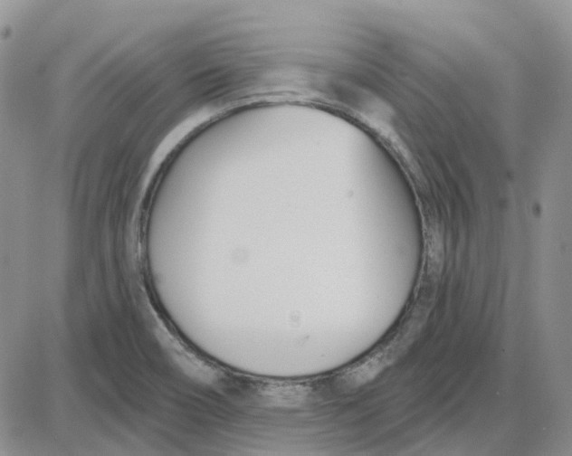 X0000087631466200705241203