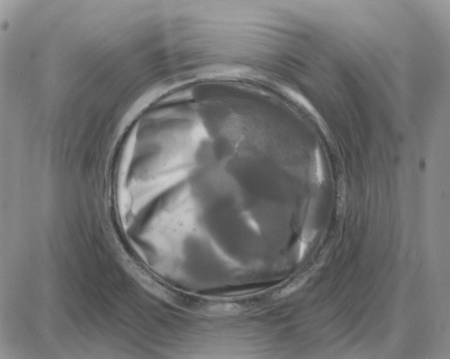 X0000087631467200705241203