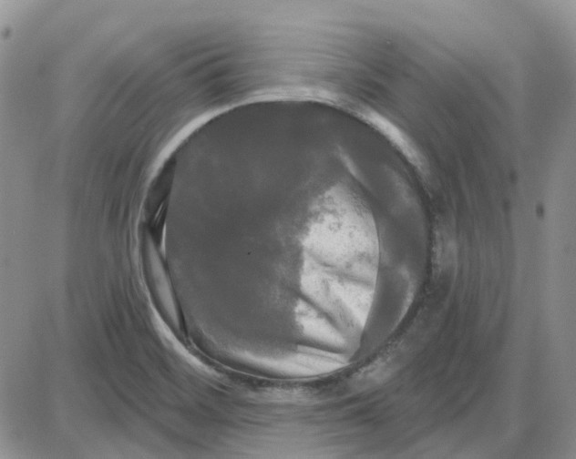 X0000087631468200705241203