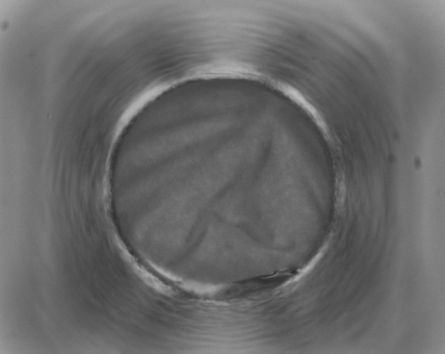 X0000087631469200705241203