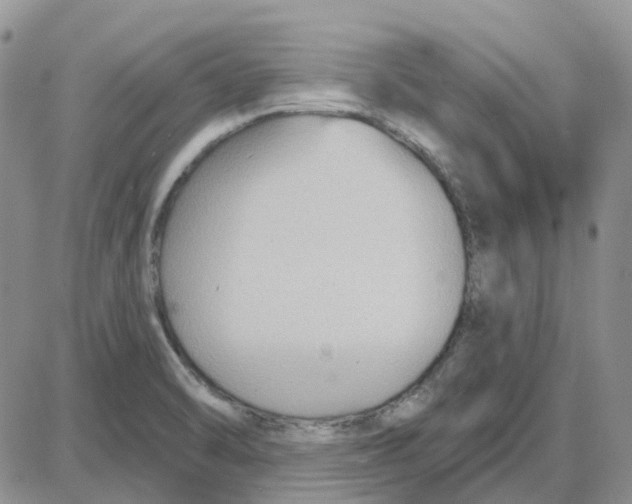 X0000087631470200705241203