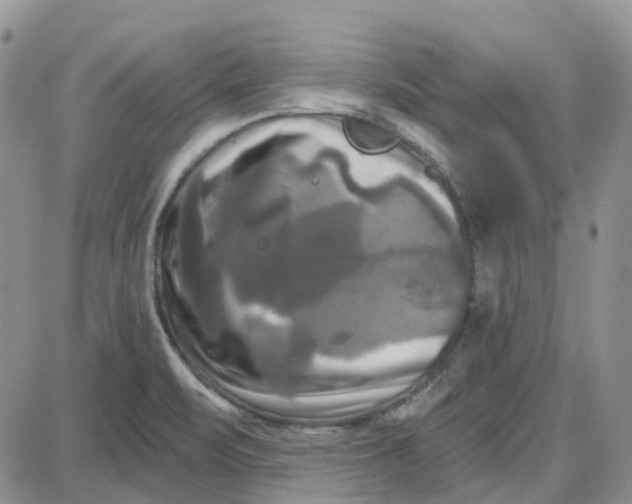 X0000087631471200705241203