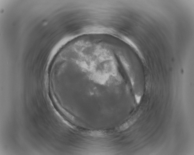 X0000087631472200705241203