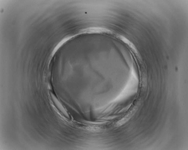 X0000087631473200705241203