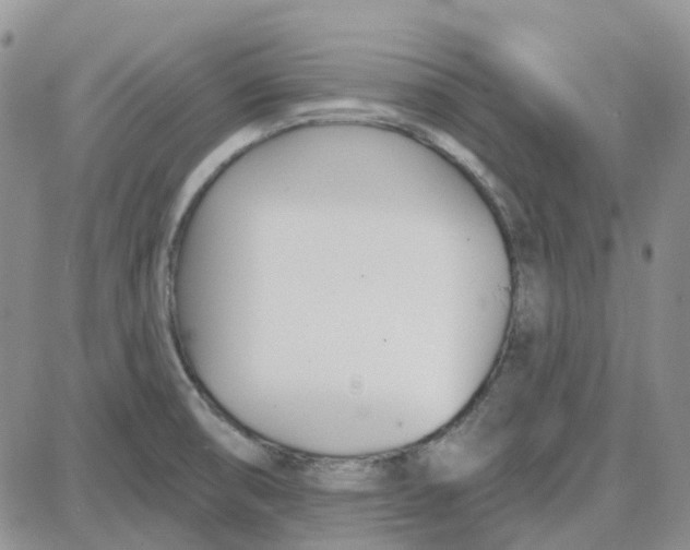 X0000087631474200705241202