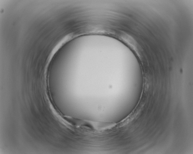 X0000087631475200705241202