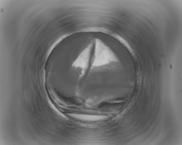 X0000087631476200705241202