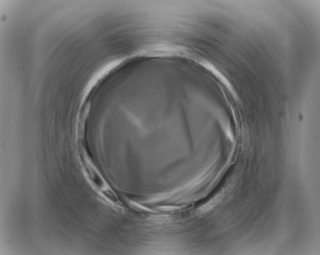 X0000087631477200705241202