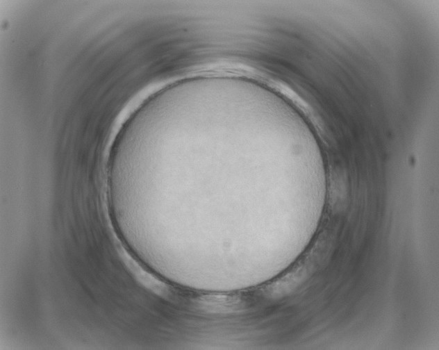 X0000087631478200705241202