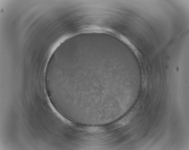 X0000087631479200705241202