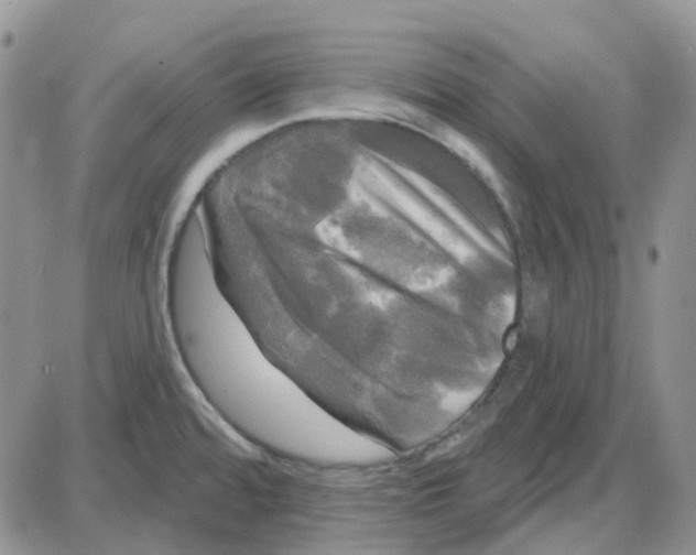 X0000087631480200705241202