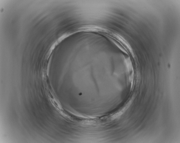 X0000087631481200705241202