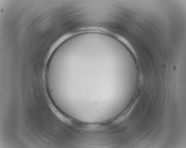 X0000087631482200705241202