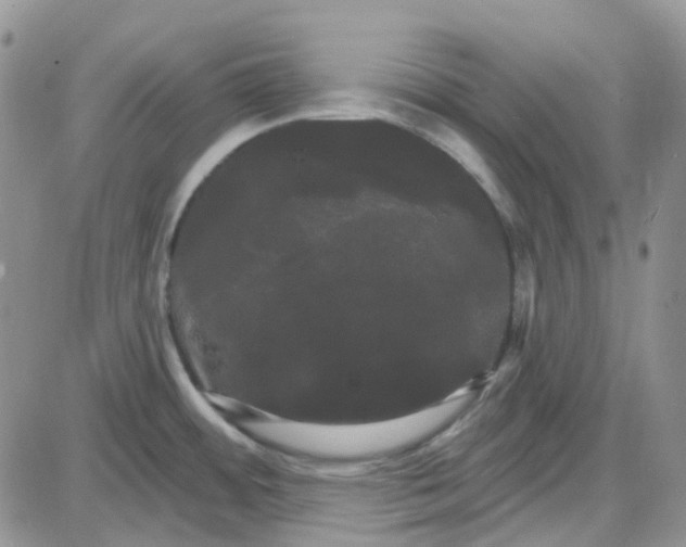 X0000087631484200705241202