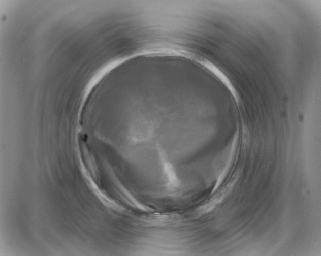 X0000087631485200705241202