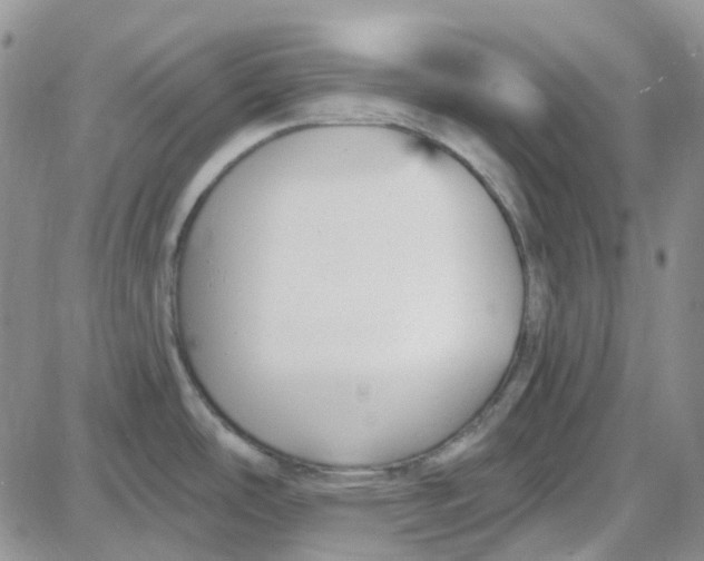 X0000087631486200705241202