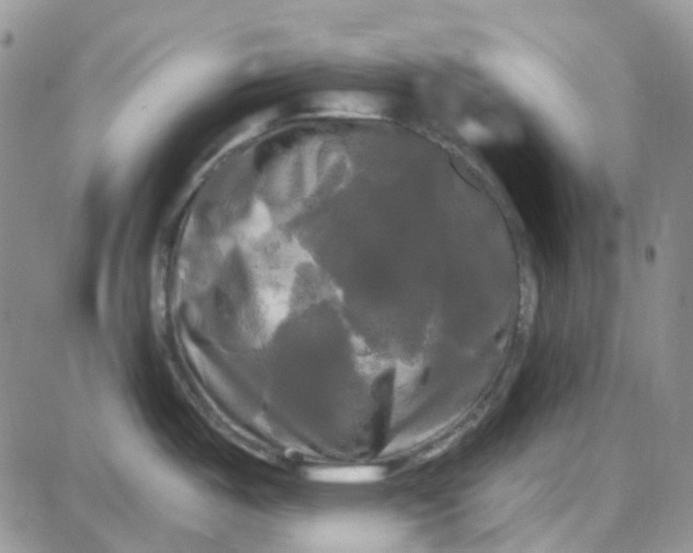 X0000087631487200705241202