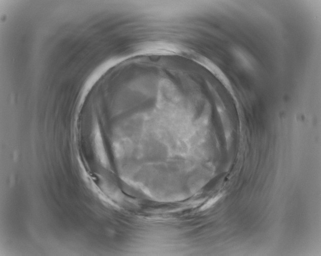 X0000087631488200705241202